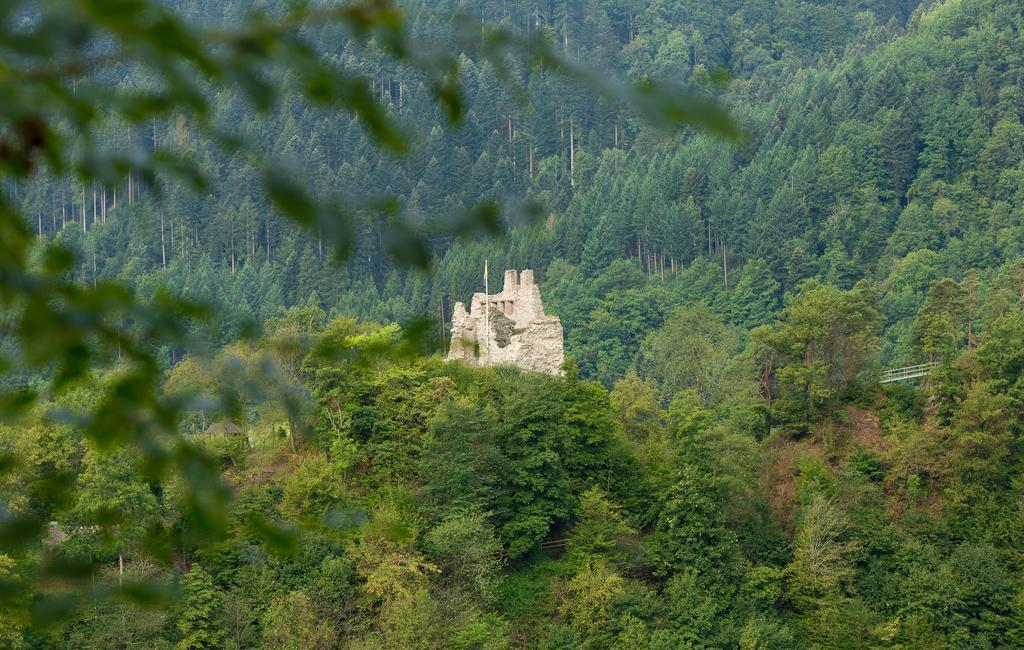 Hotel Winterhaldenhof Schenkenzell Exteriér fotografie